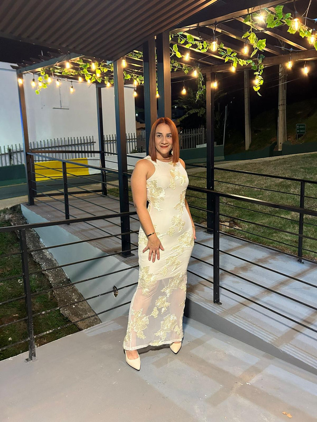 Embroidered lace dress