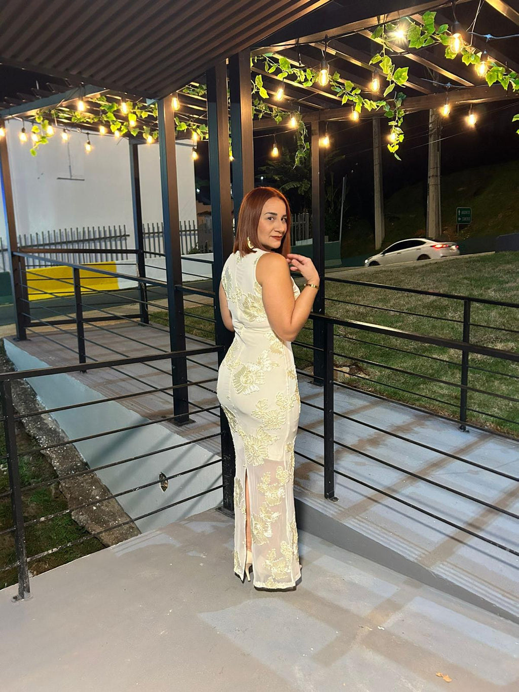 Embroidered lace dress